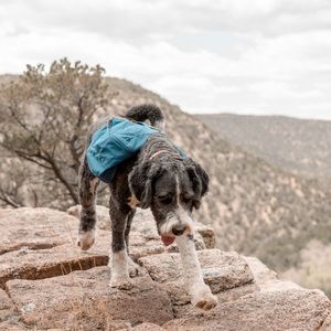 Ruffwear Front Range Day Pack Size L/XL